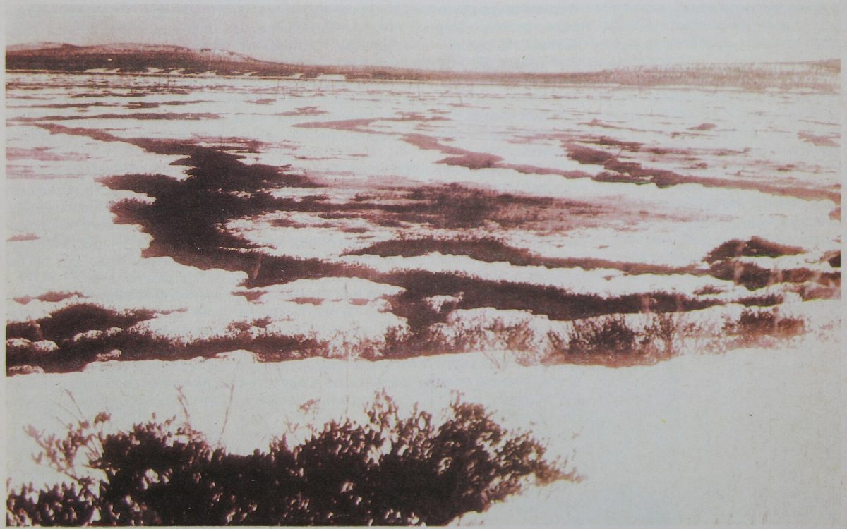 Район Тунгусской катастрофы, 1930 год